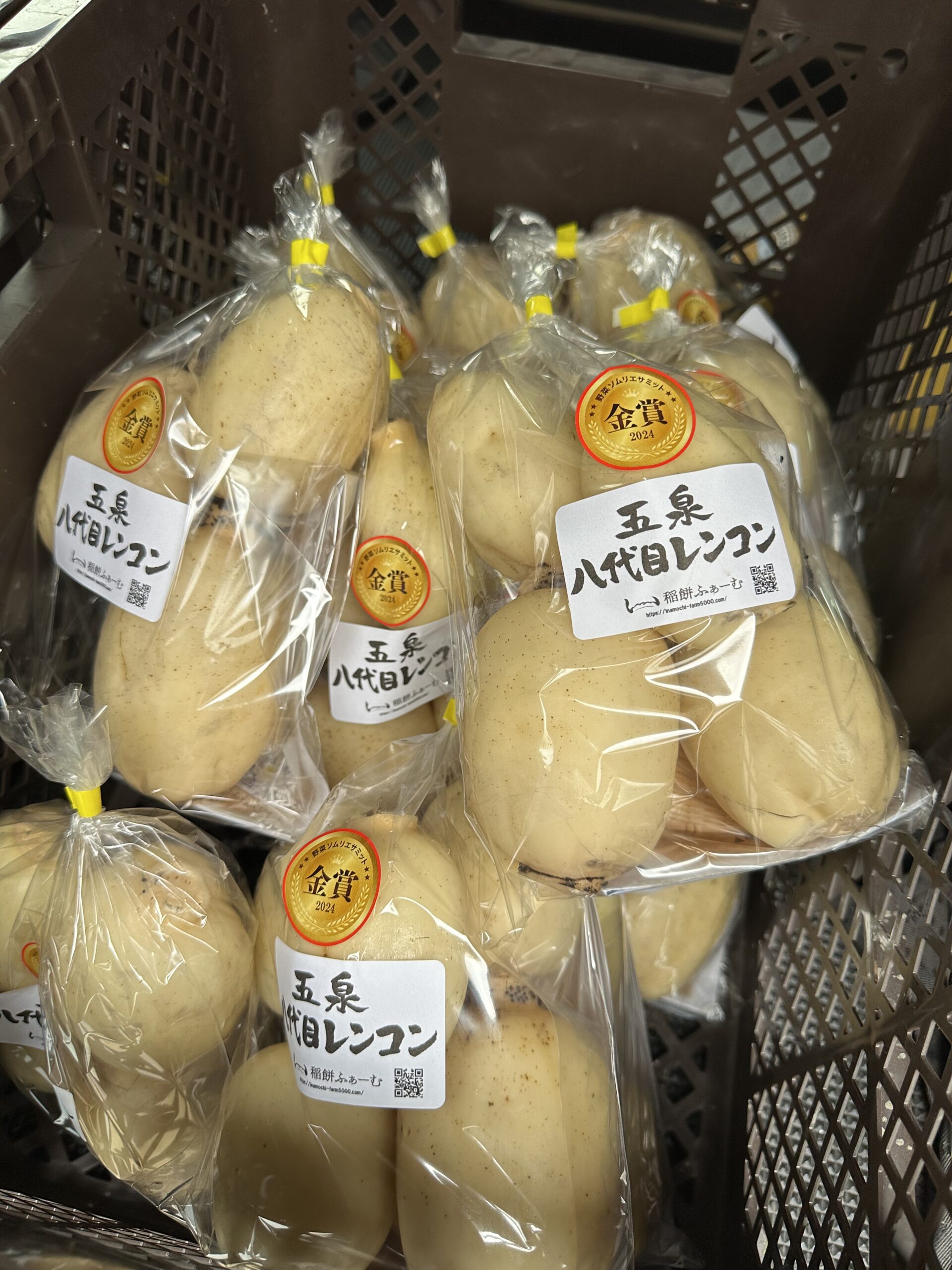 2024野菜ソムリエサミットで金賞を受賞した「五泉八代目レンコン」
